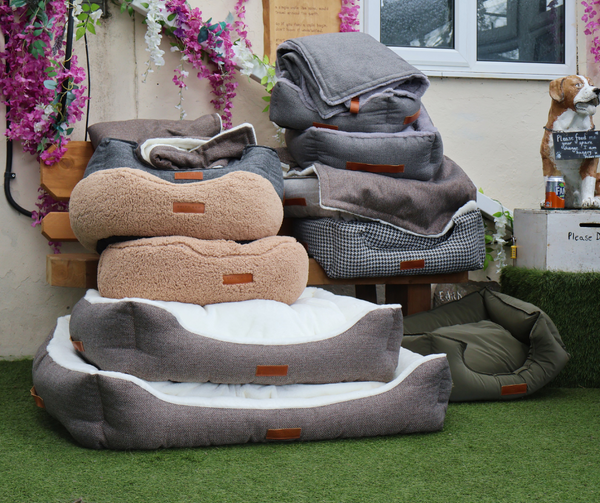 Blankets and beds were donated to the rescue centre to keep dogs and puppies warm during winter