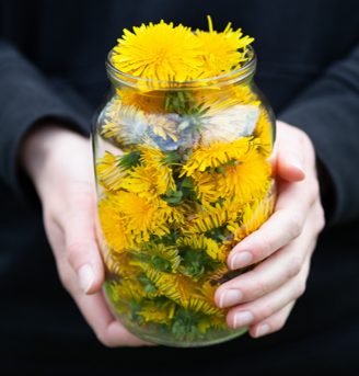 Flowers in Jar