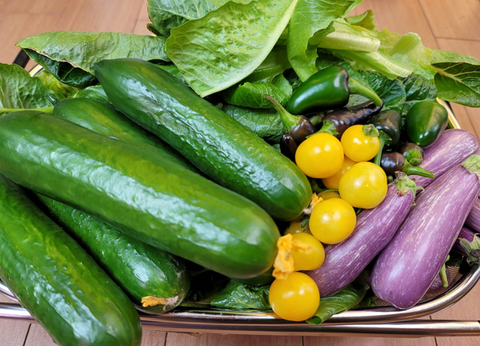 Fresh vegies from the iHarvest Indoor Garden