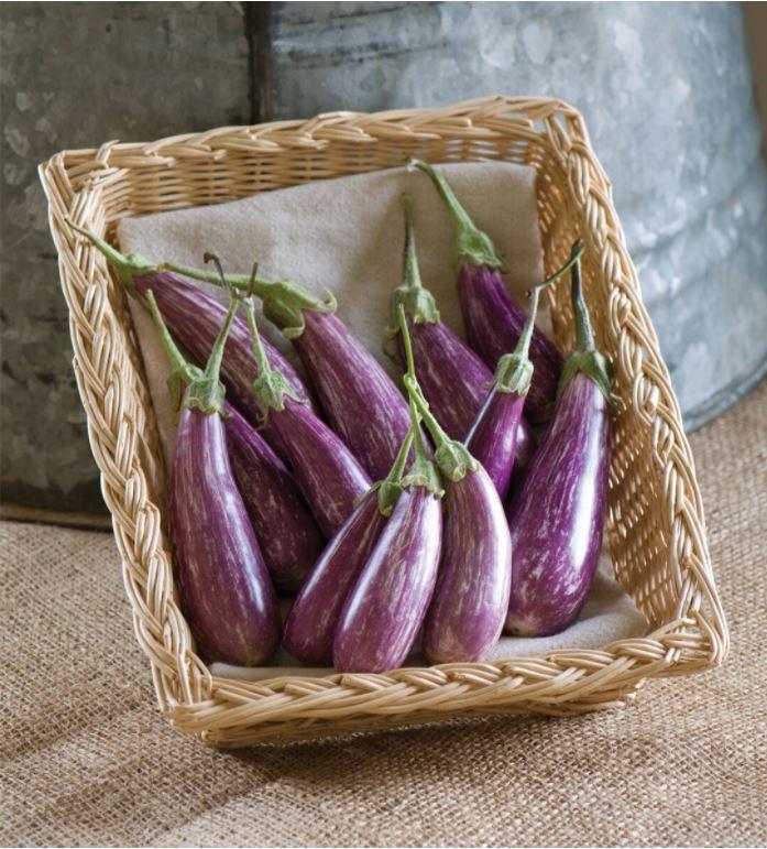 fairy eggplant seeds