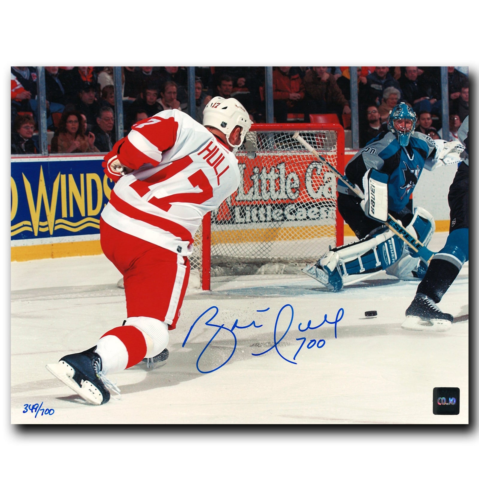 download brett hull red wings