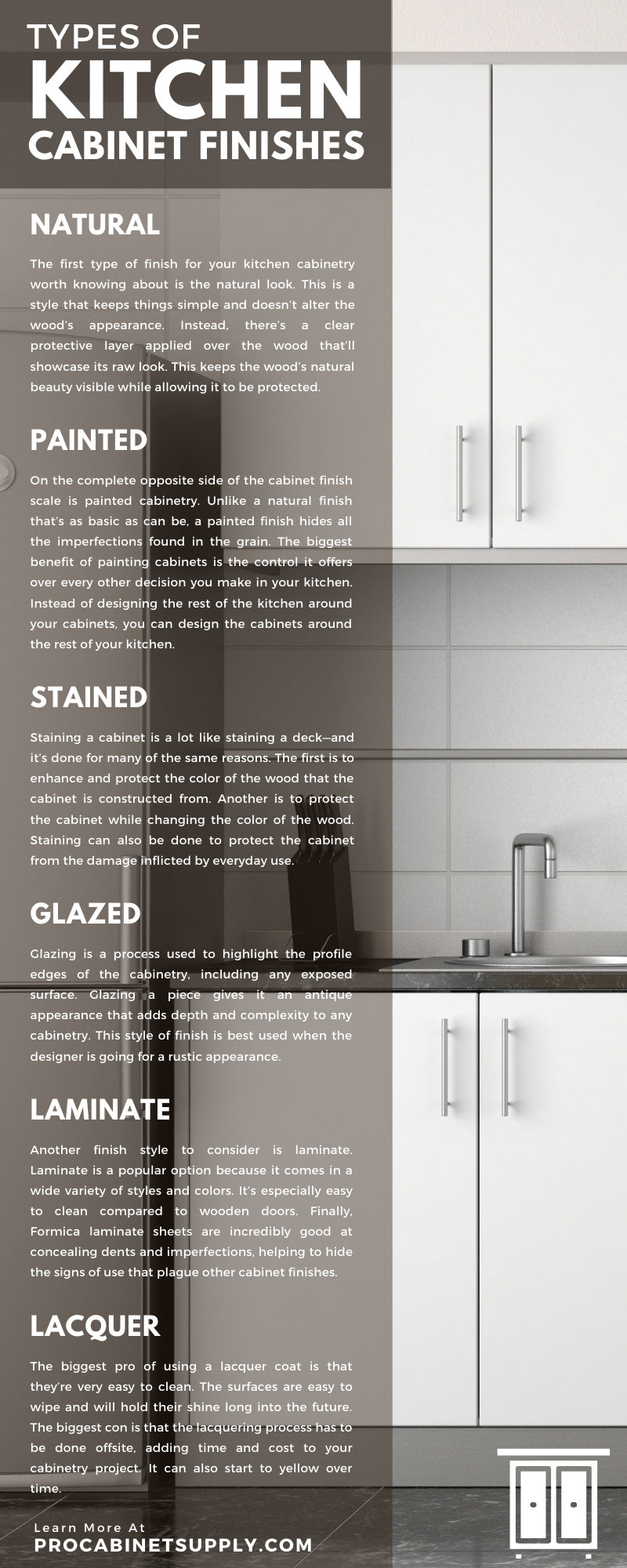 Kitchen Cabinet Finishes