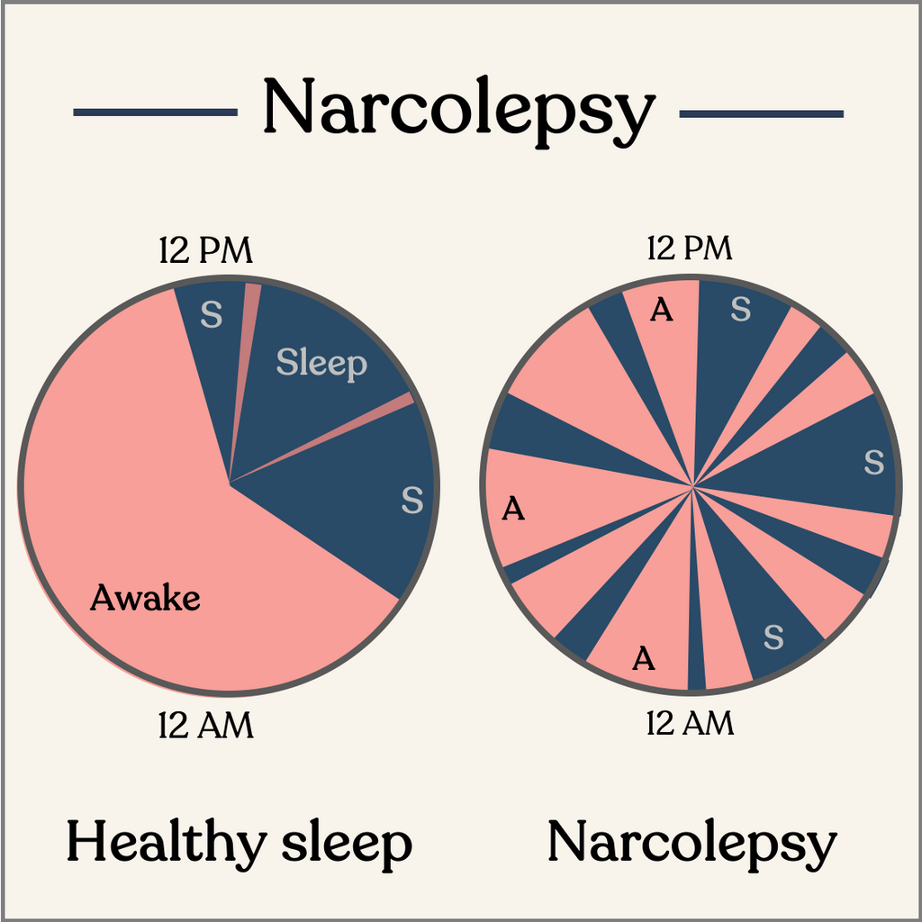 Learn About Narcolepsy & How To Get Help