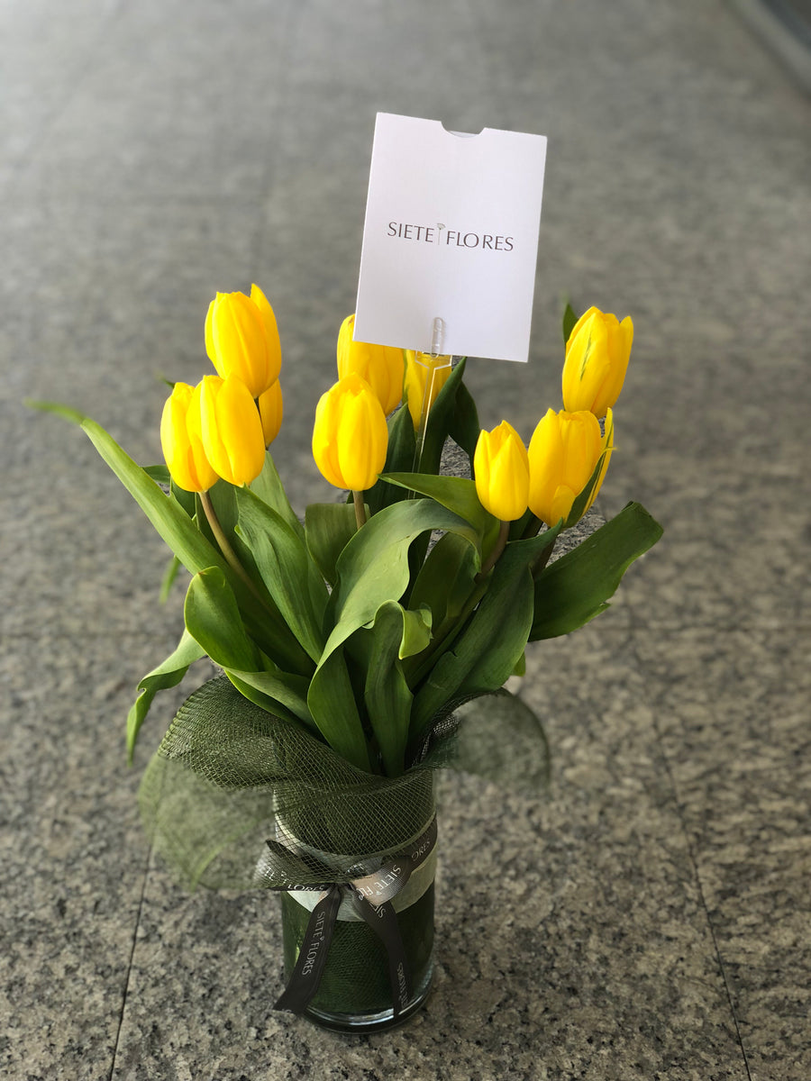 Florero de Tulipanes – Mi Primer Regalo