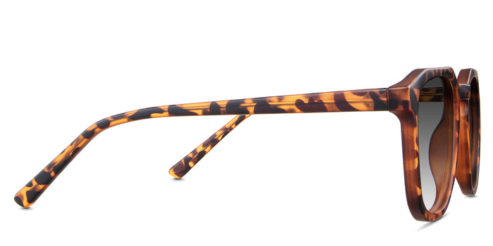 Tortoise-Black-Gradient