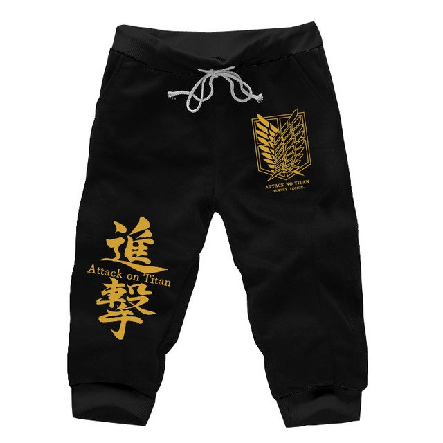 attack on titan sweatpants