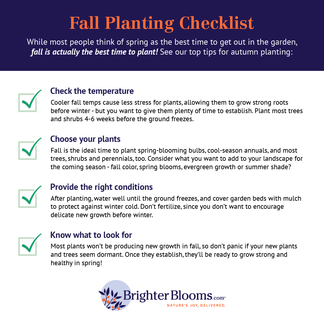 Fall Planting Checklist