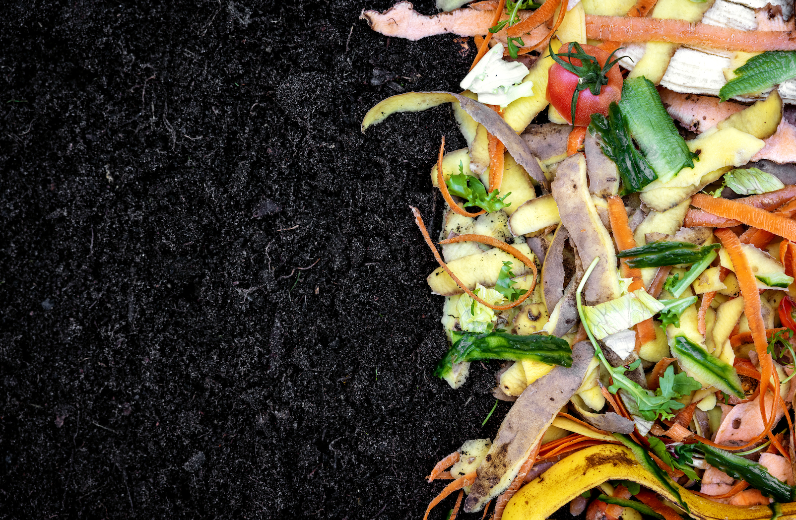 compost