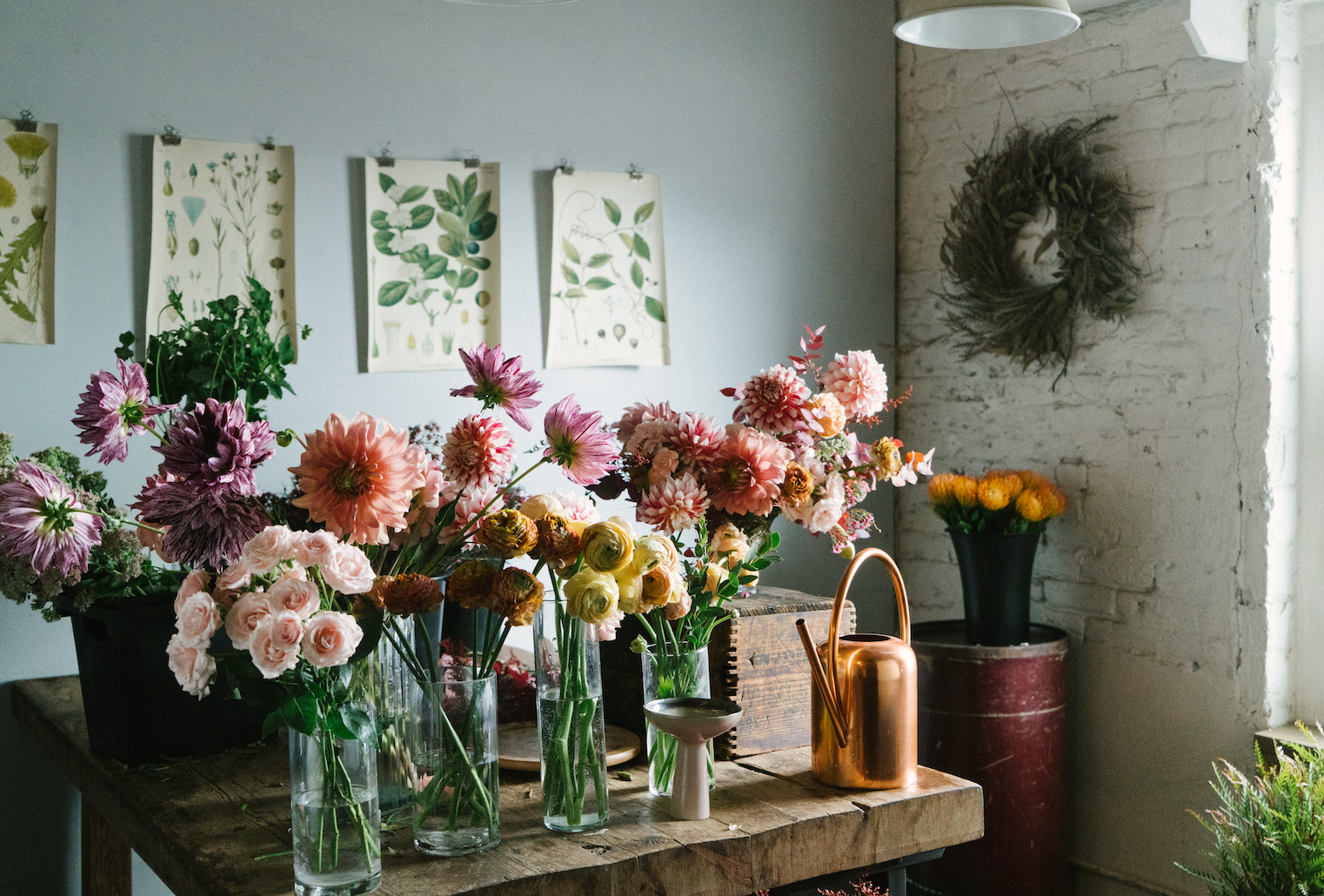 cut flowers in vases