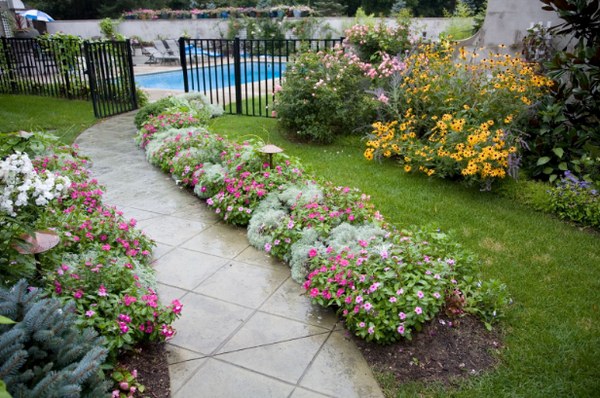 row of annuals