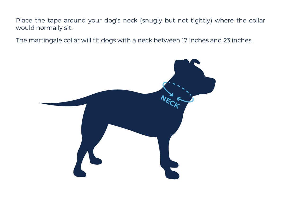 Martingale Dog Collar Size Chart by Pittie Clothing Co.