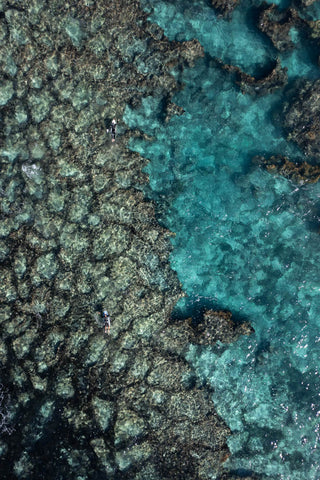 Surfers paddle over the reef in Lancelin