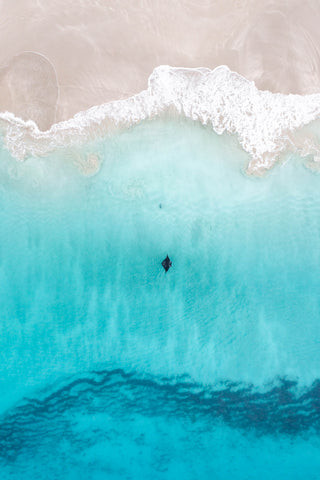 Top down of manta ray next to beach