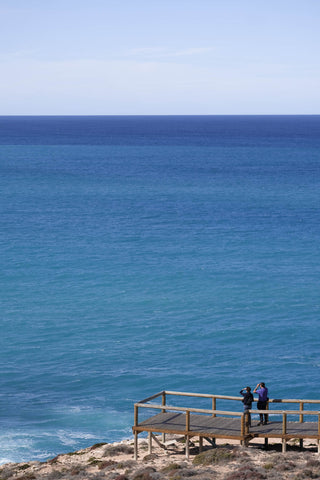 Whale watching at the head of the bight in South Australia