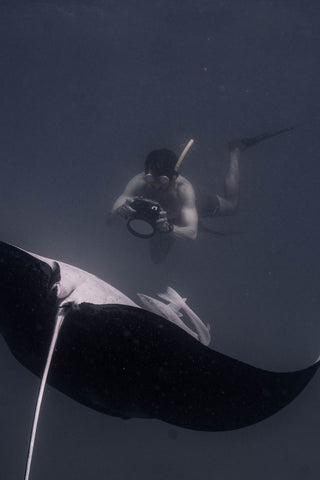 Me swimming with rolling manta ray