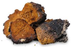 Chaga