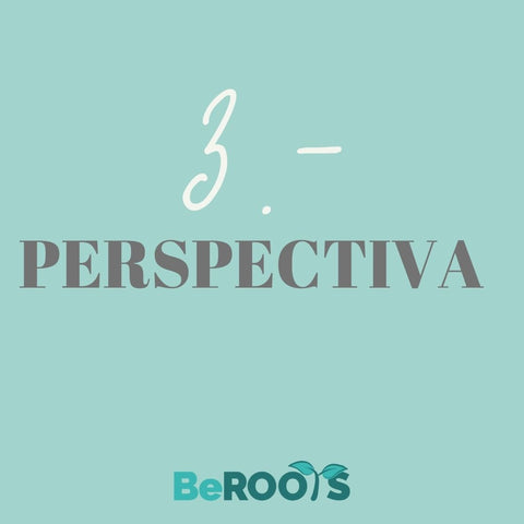 Perspectiva