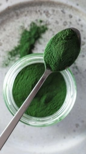 SPIRULINA