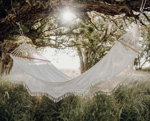 Amazona palacio hammock hanging from a tree in a woodland setting