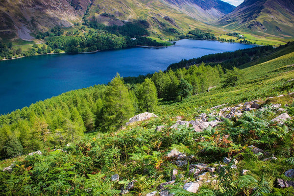 Lake District Landscape