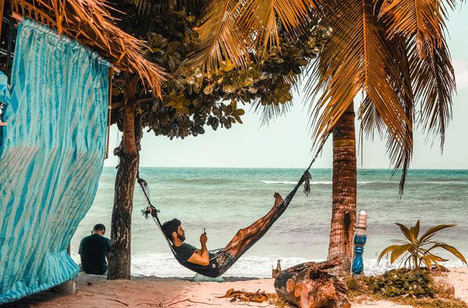 Hammock in  paradise