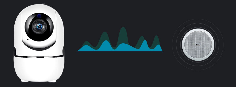 Bidirectional Audio