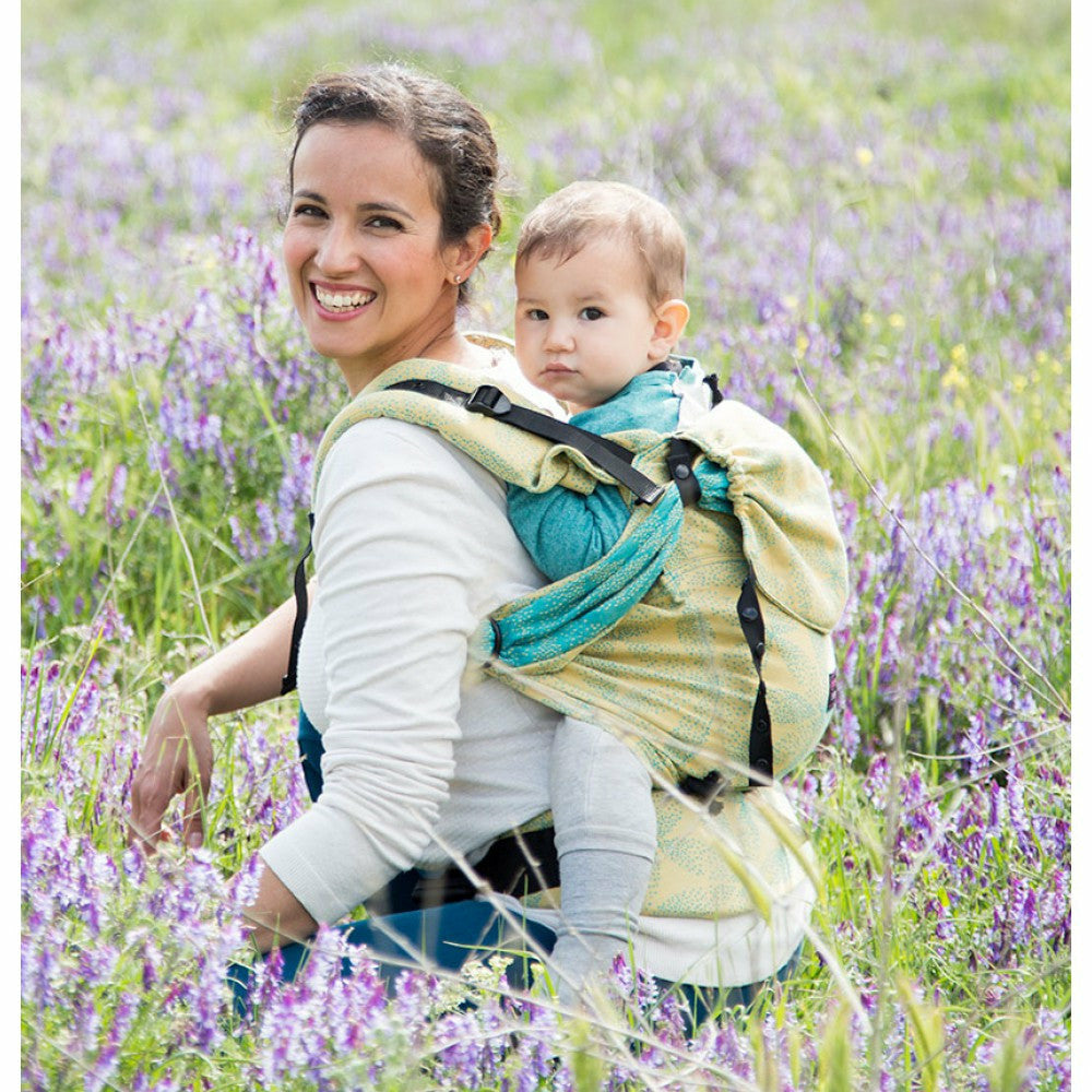 baby and toddler carrier