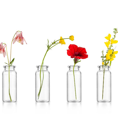 Las flores de bach, terapia floral