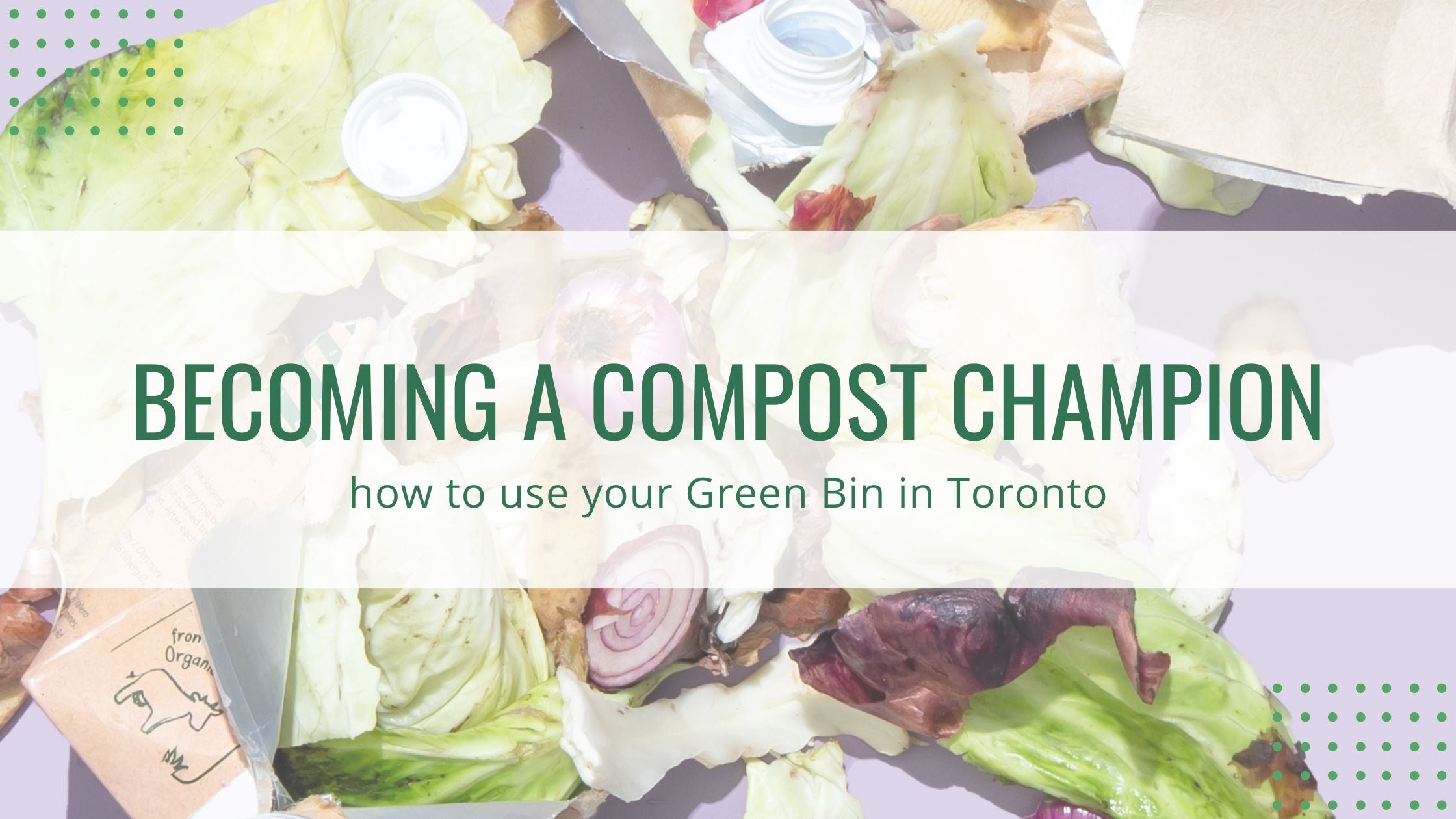 becoming a compost champion