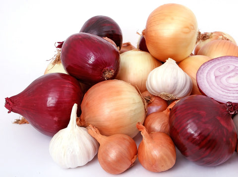 Cloves of garlic and bulbs of onion, for Autobrush