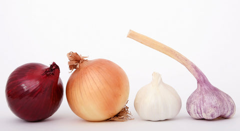 A row of onions and garlic.