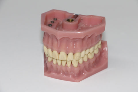 Set of dentures, for Autobrush