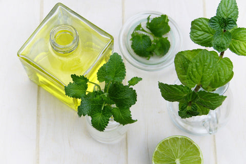 Open bottle of peppermint oil with peppermint leaves, for Autobrush