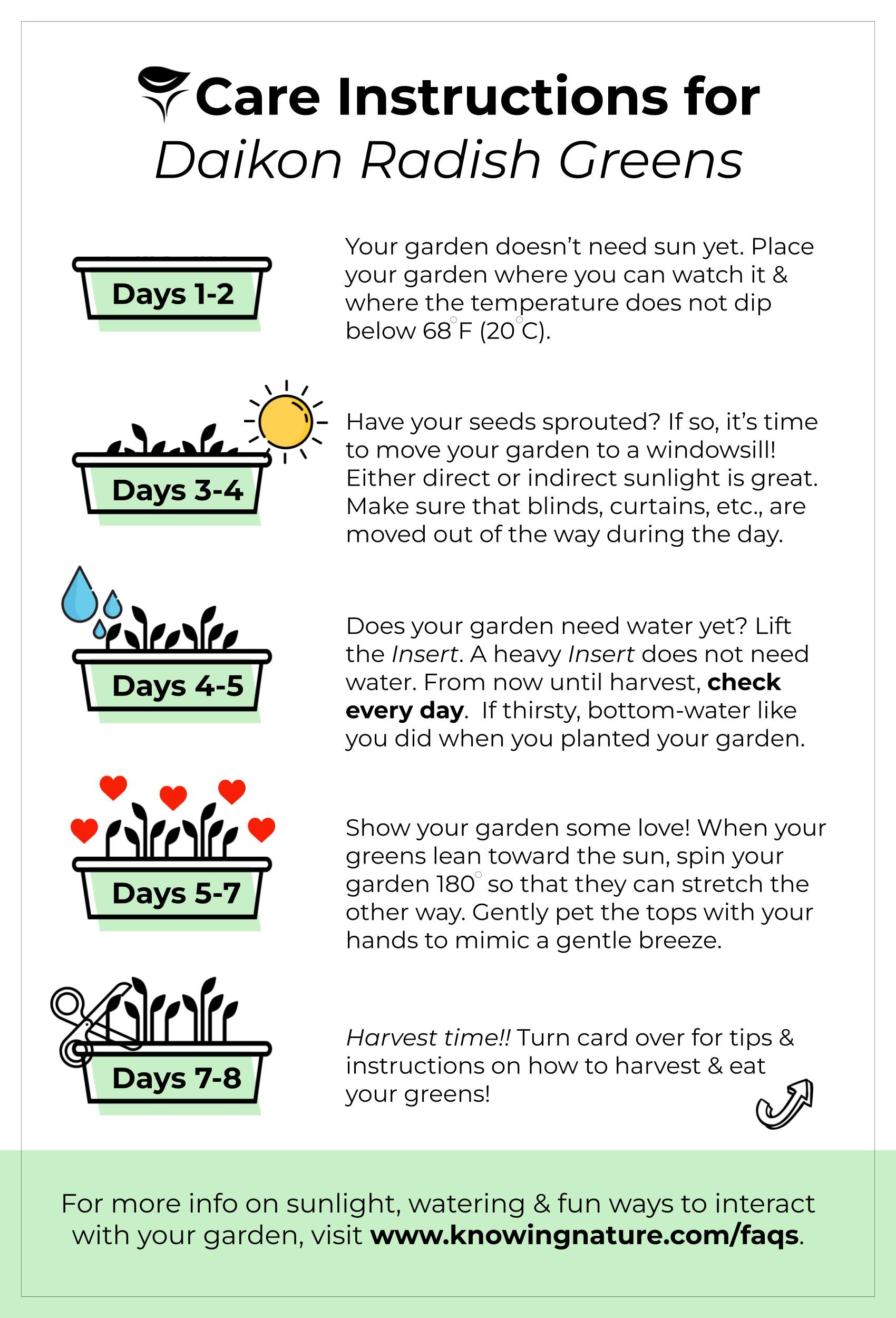 Planting & Growing Instructions for Daikon Radish