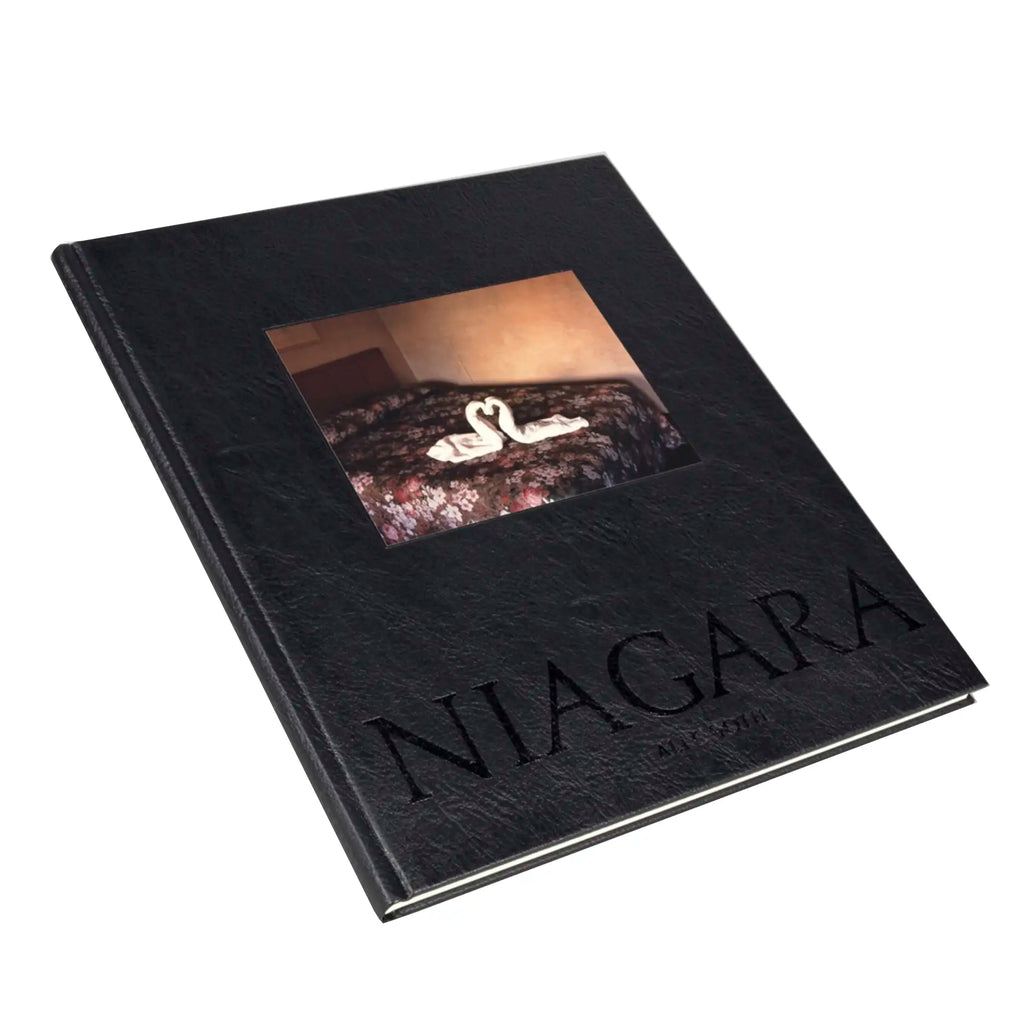 送料無料・選べる4個セット Alec soth NIAGARA Steidl - 通販 - www