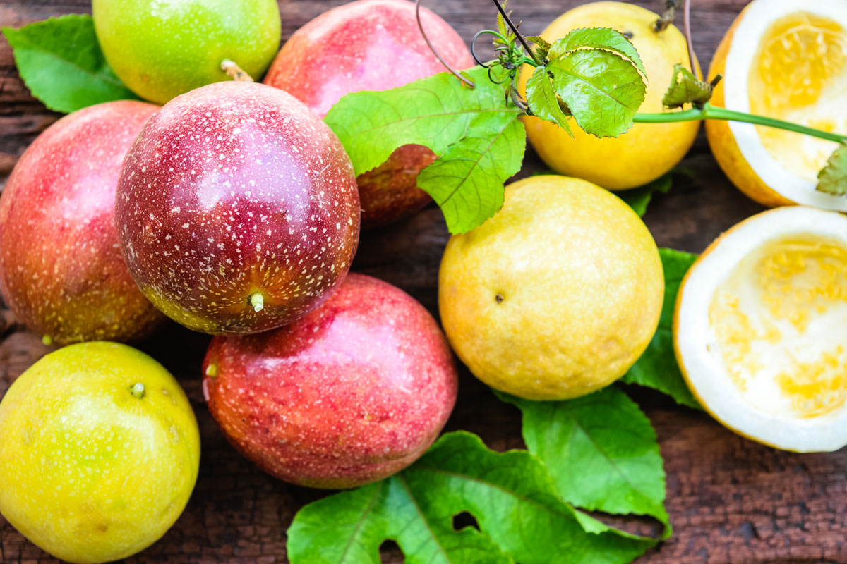 Passion Fruit Purple and Yellow Skin Varieties