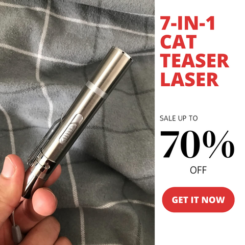 Cat teaser Laser