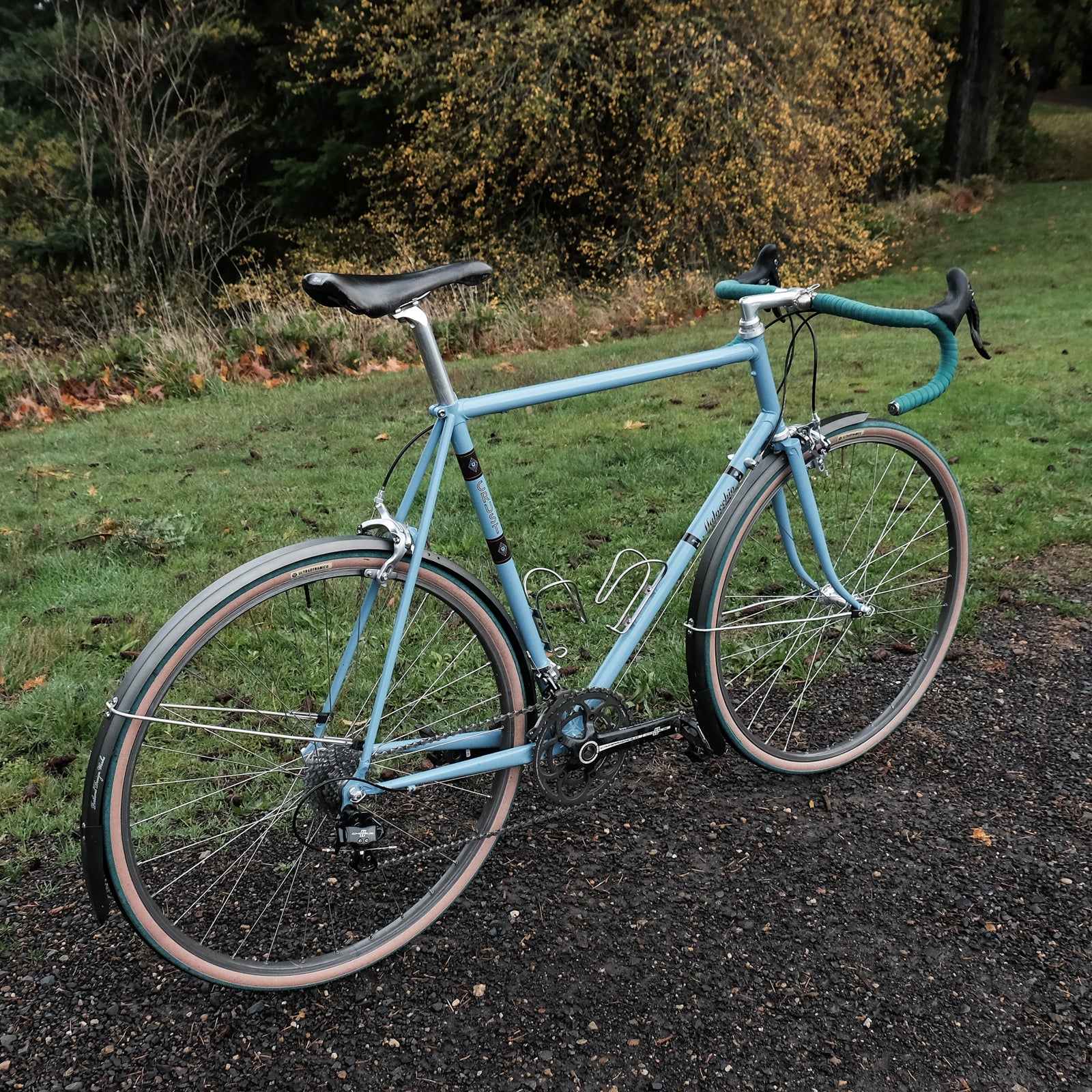 Portland designed fenders on a bike set up for Portland winter riding.  Works well, it turns out.