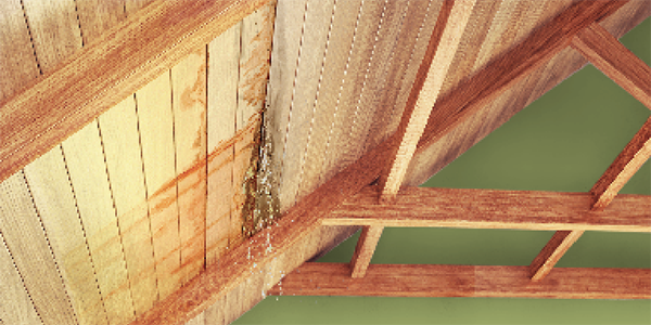Leaky Roofs (Flat Concrete or Sloped
Wood Roofs)
