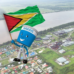 scenic image of Guyana village with Harris Paints little blue man with Guyana flag