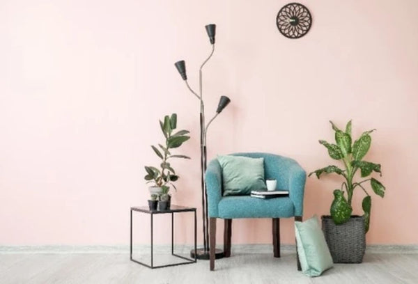 Benjamin Moore Announces Color of the Year 2020 | Ricciardi Brothers