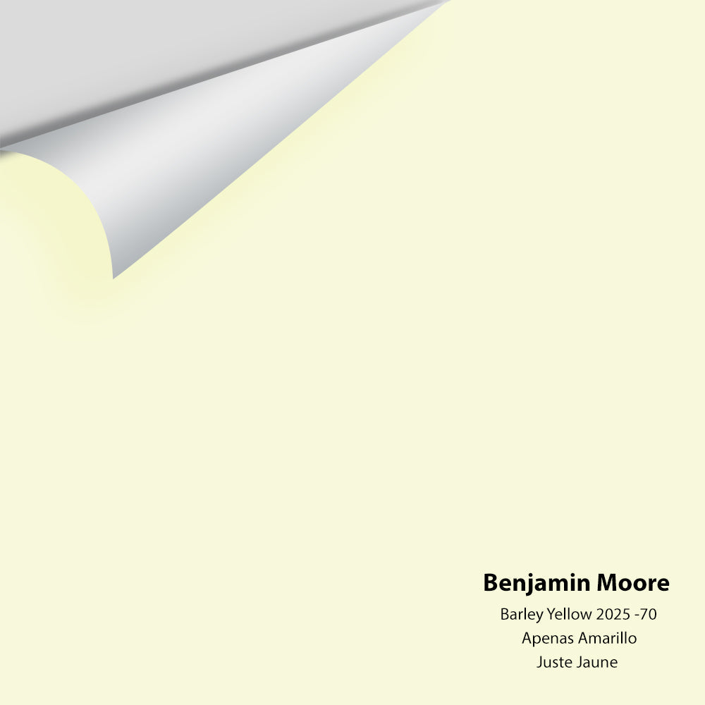 Barely Yellow 2025-70 Peel & Stick Sample
