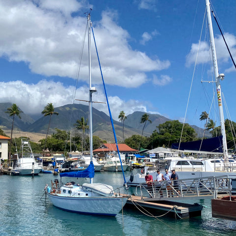 Gemini in Lahaina harbor