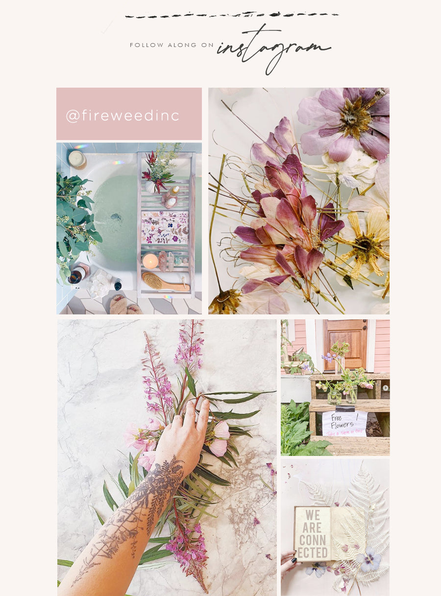 Fireweed women's stationery, greeting cards, sketchbooks, pressed botanicals, pressed florals, coin purses, notebooks, bucket totes and tassel clutches