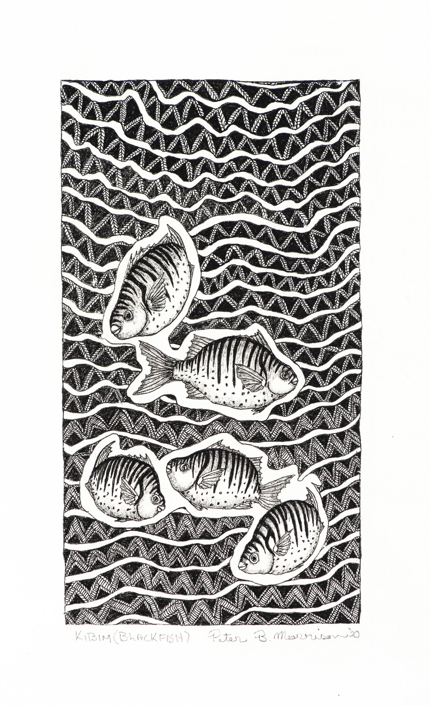 PETER B MORRISON | 'Kibim' (Black Fish) Drawing | Pen and ink on archival paper