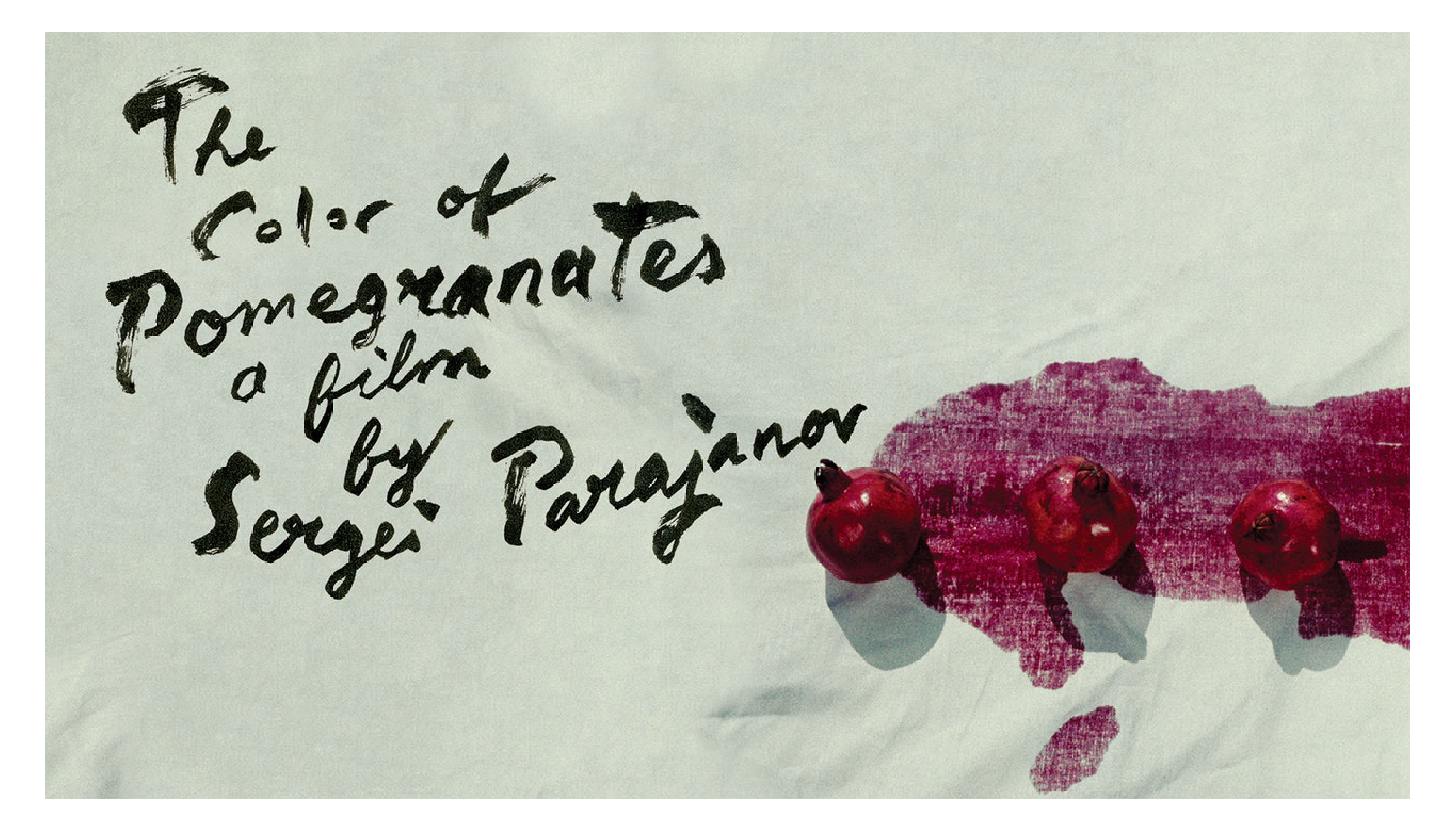 THE COLOR OF POMEGRANATES