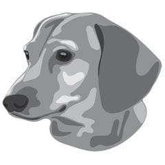 DuFauna All Dachshund Themed Designs