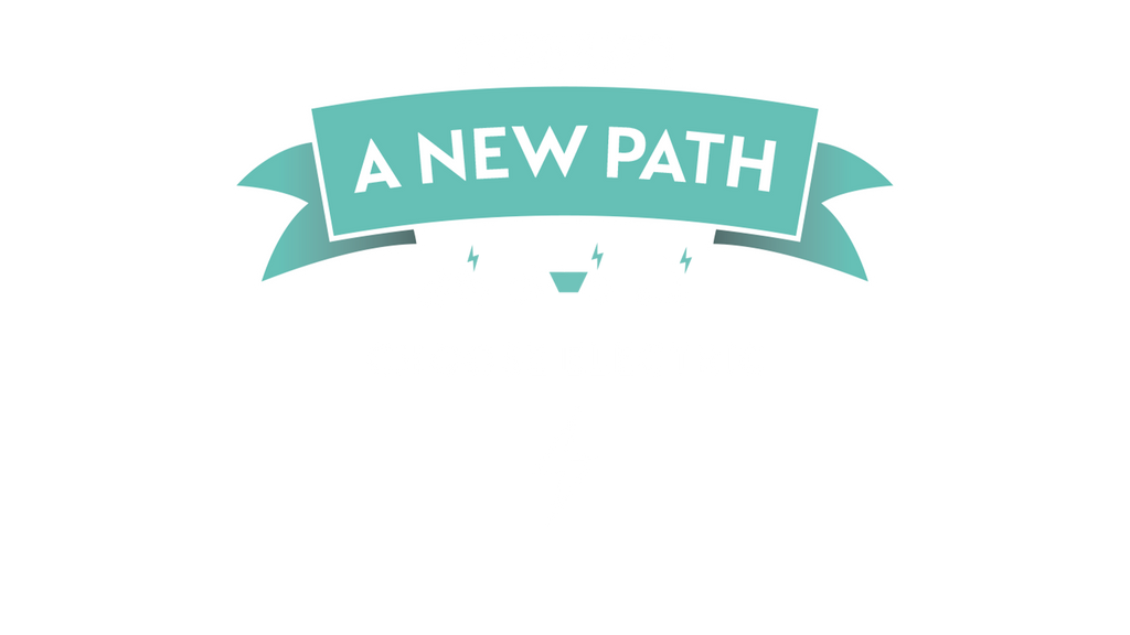 pure electric bikes