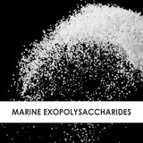 Mariine Exopolysaccharides
