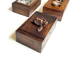 Carved Wooden Box || Small - Sea Turtle